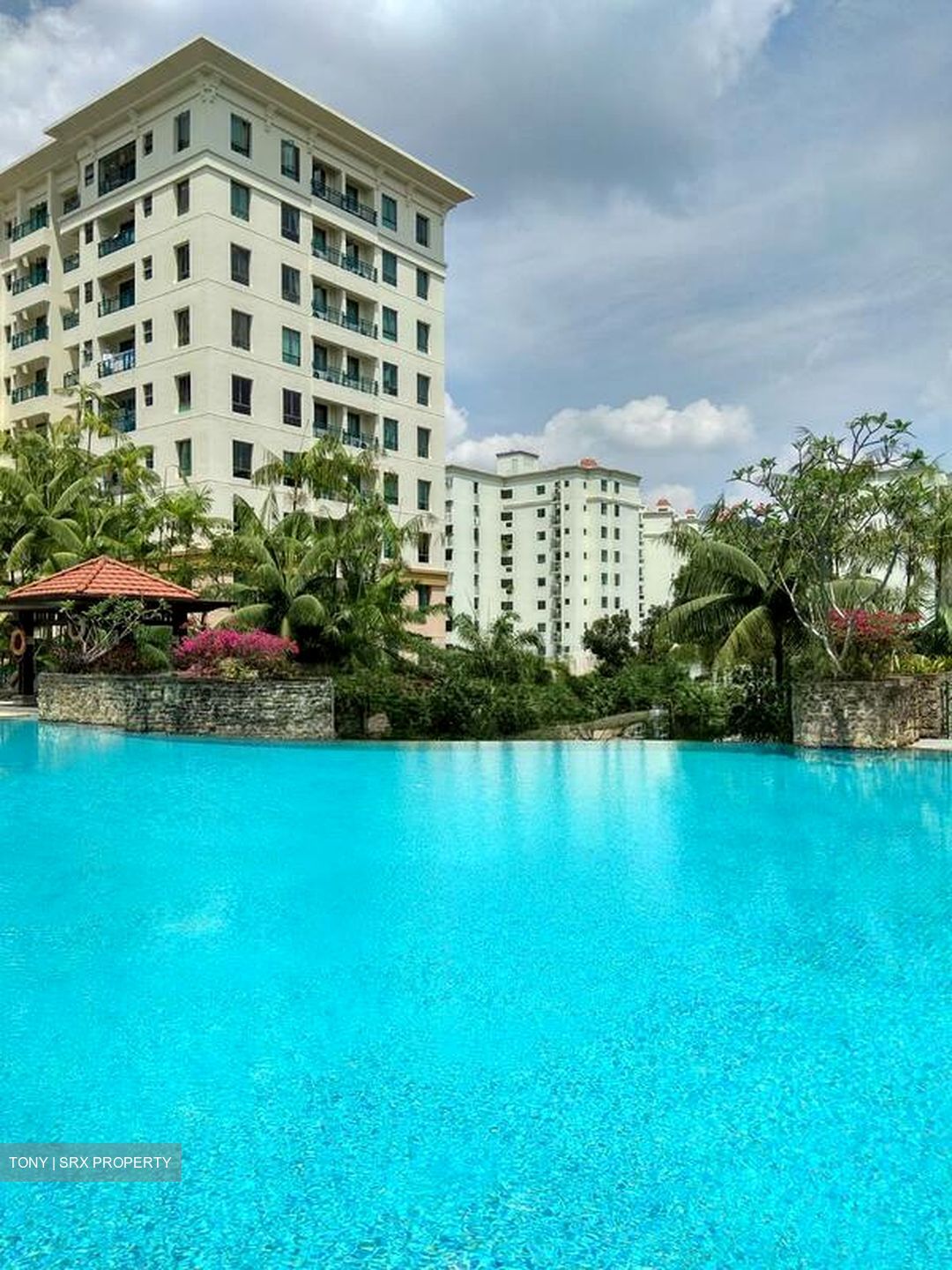 Hillbrooks (D23), Condominium #503578791